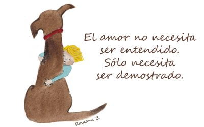 El amor no necesita ser entendido