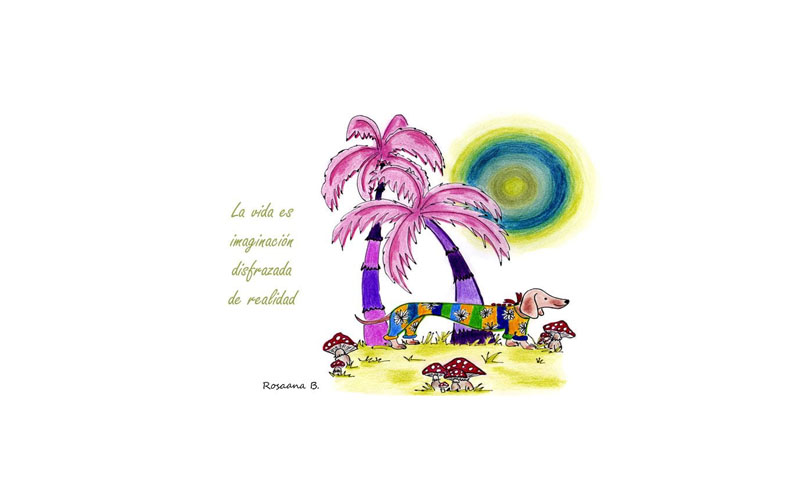 La imaginación